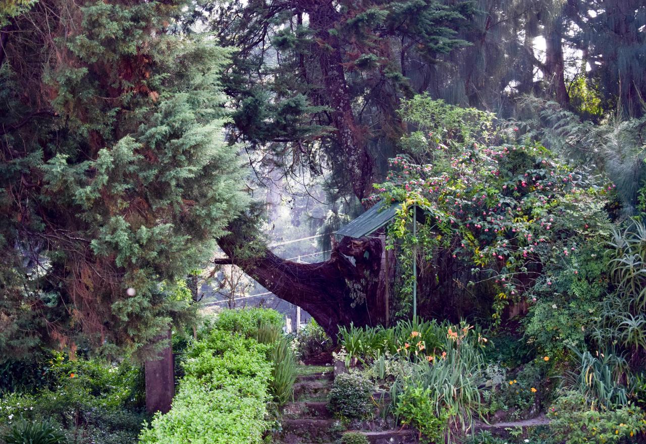 Mount Mary Inn Νουβάρα Ελίγια Εξωτερικό φωτογραφία