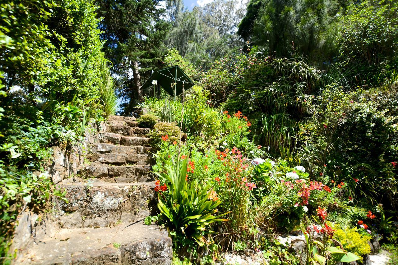 Mount Mary Inn Νουβάρα Ελίγια Εξωτερικό φωτογραφία